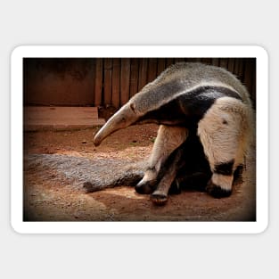 Giant Anteater Sticker